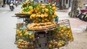 SDG Booster Vietnam tropical fruits