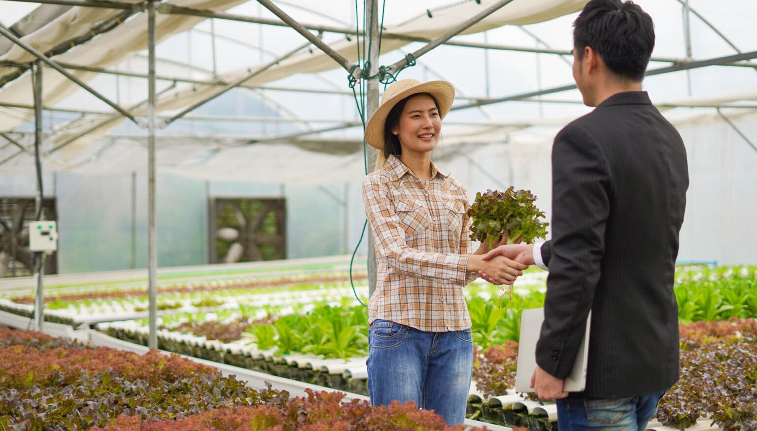 B2B Matchmaking agriculture