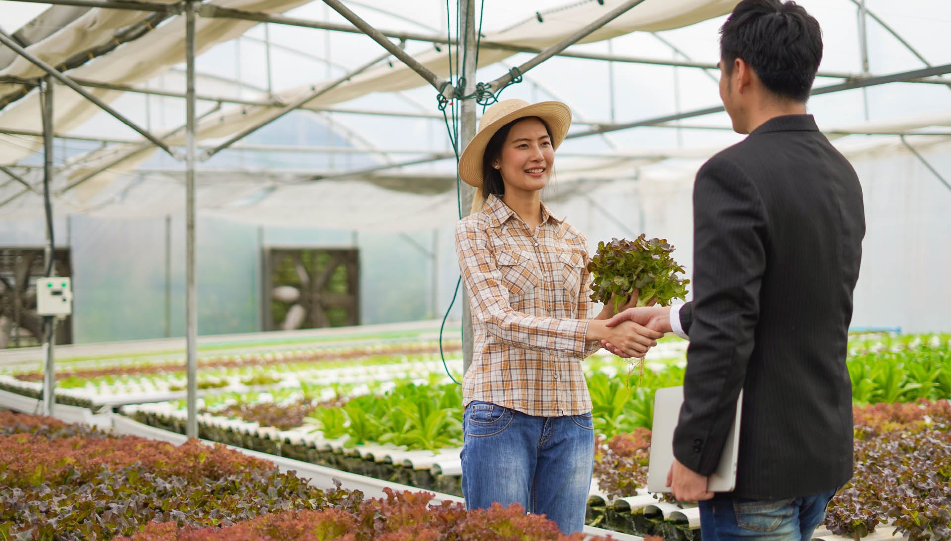 B2B Matchmaking agriculture