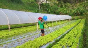 Timor Leste World Vision